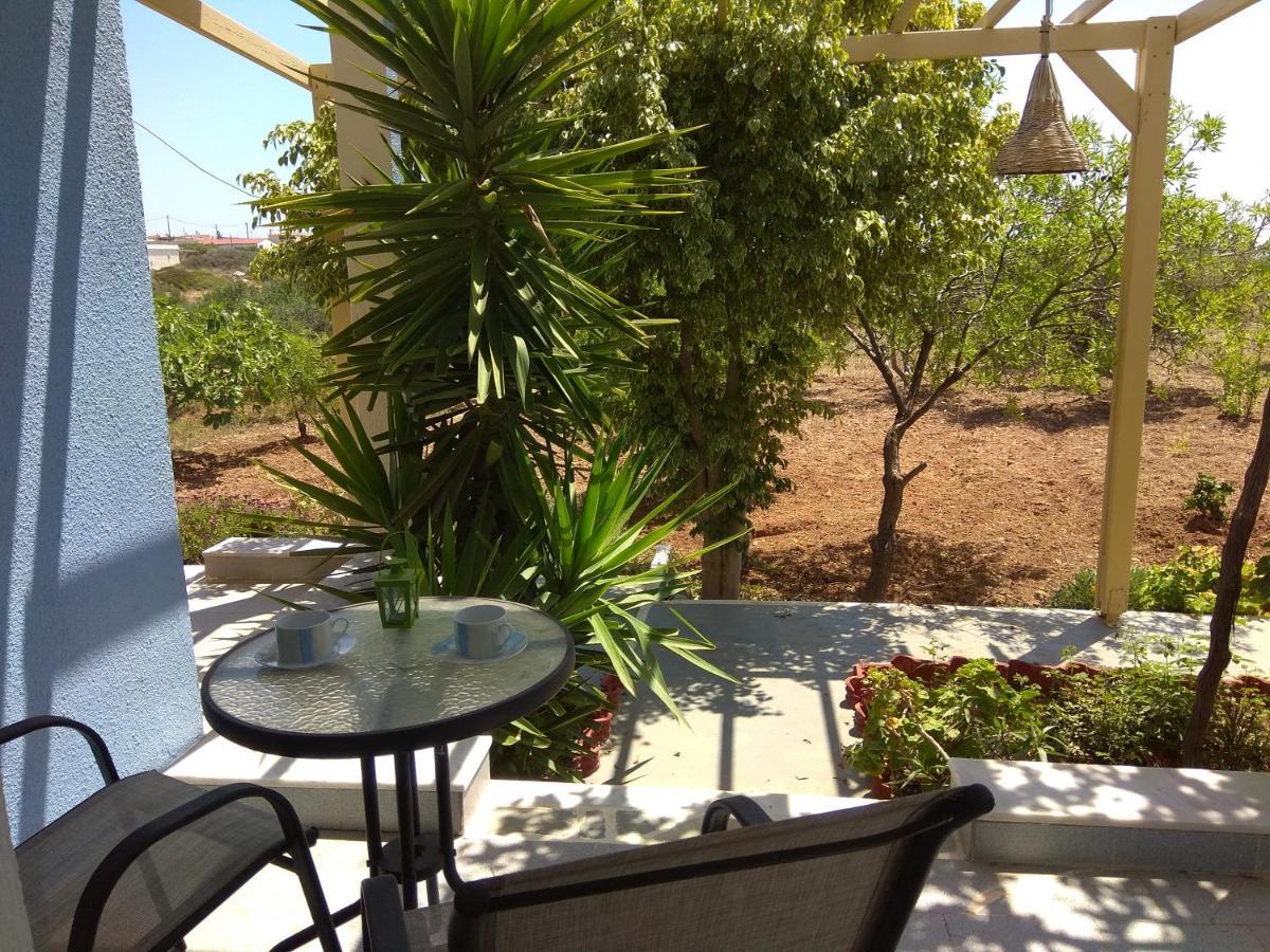 كارباثوس Country Studios المظهر الخارجي الصورة